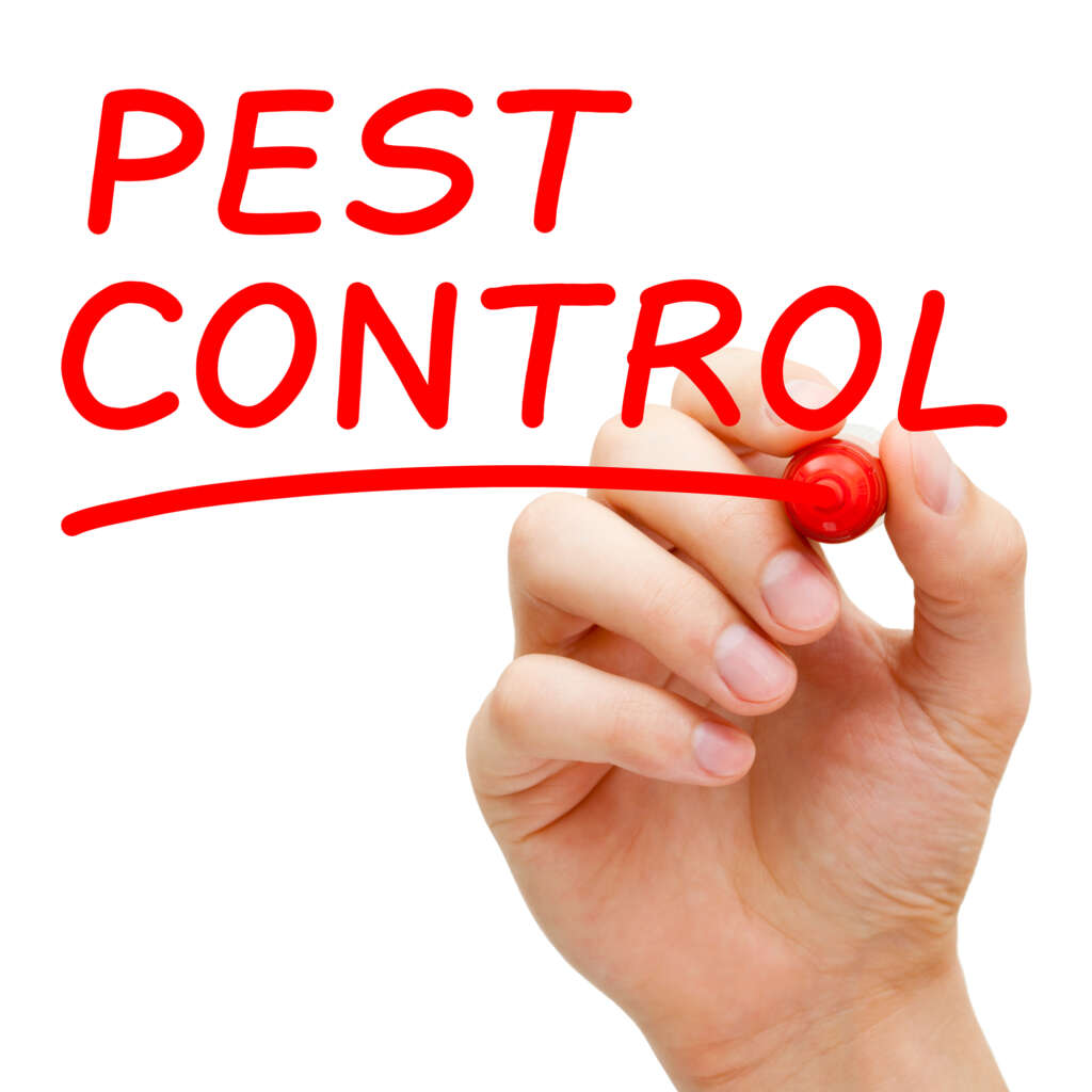 Call Connecticut Termite and Pest Control a call for a free pest inspection (203) 9357357