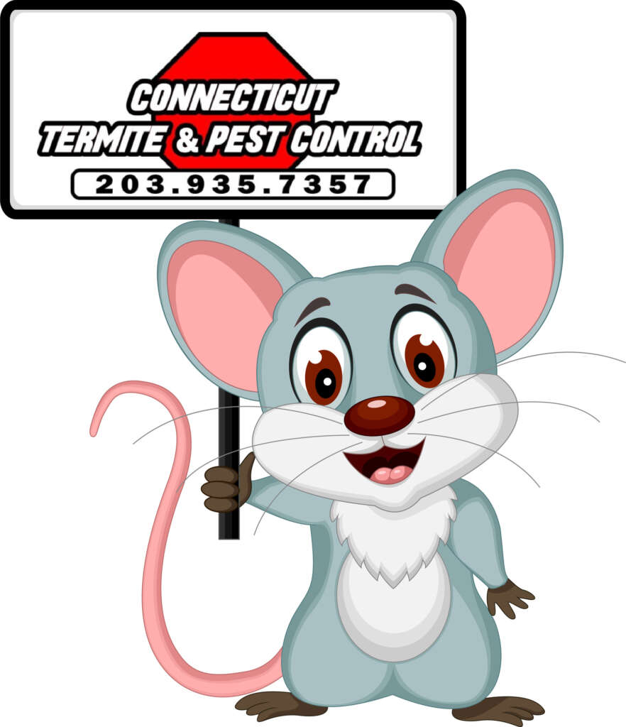 Connecticut Termite and Pest Control are professionals at mouse elimination